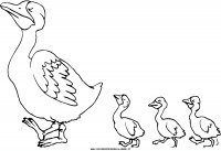 disegni_animali/fattoria/18.JPG