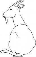 disegni_animali/fattoria/28.JPG