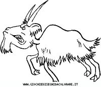 disegni_animali/fattoria/30.JPG