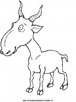 disegni_animali/fattoria/31.JPG