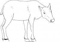 disegni_animali/fattoria/32.JPG