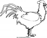 disegni_animali/fattoria/34.JPG