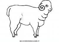 disegni_animali/fattoria/35.JPG
