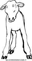 disegni_animali/fattoria/40.JPG
