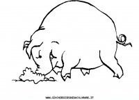 disegni_animali/fattoria/46.JPG