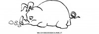disegni_animali/fattoria/47.JPG