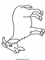 disegni_animali/fattoria/goat2.JPG