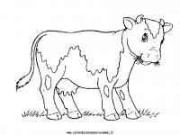 disegni_animali/fattoria/mucche_14.JPG