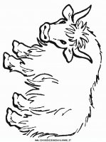 disegni_animali/fattoria/mucche_15.JPG