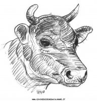 disegni_animali/fattoria/mucche_18.JPG