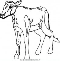 disegni_animali/fattoria/mucche_24.JPG