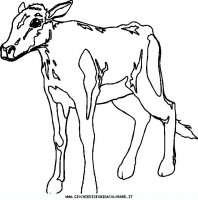 disegni_animali/fattoria/mucche_24.JPG