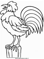 disegni_animali/fattoria/rooster.JPG