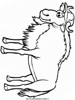 disegni_animali/fattoria/wildebeest.JPG