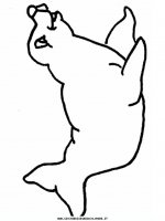 disegni_animali/foca/foca_2.JPG