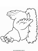 disegni_animali/gallina/hen2.JPG