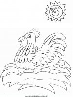 disegni_animali/gallina/hen3.JPG