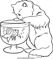 disegni_animali/gatto/animali_c29.JPG