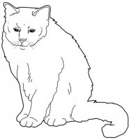 disegni_animali/gatto/birmano.jpg