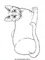 disegni_animali/gatto/cani_gatti_c3.JPG