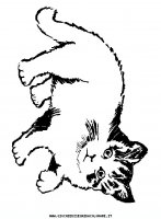 disegni_animali/gatto/cani_gatti_c30.JPG