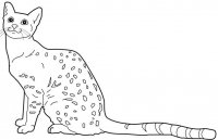 disegni_animali/gatto/egiziano.jpg