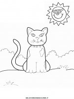 disegni_animali/gatto/gatti_35.JPG