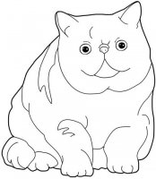 disegni_animali/gatto/micione.jpg