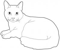 disegni_animali/gatto/russo.jpg