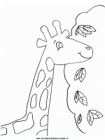 disegni_animali/giraffa/giraffe2.JPG