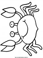 disegni_animali/granchio/crab2.JPG