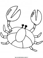 disegni_animali/granchio/crab7.JPG