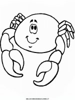 disegni_animali/granchio/crab8.JPG