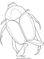 disegni_animali/insetti/coleoptere_japon.jpg