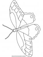 disegni_animali/insetti/farfalla.jpg