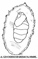 disegni_animali/insetti/insetti_b9655.JPG