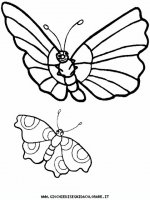 disegni_animali/insetti/insetti_b9675.JPG
