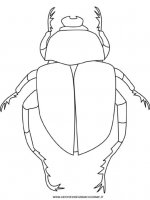 disegni_animali/insetti/scarabeo.jpg