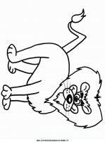 disegni_animali/leone/leone_1.JPG
