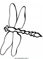 disegni_animali/libellula/libellula_libellule_3.JPG