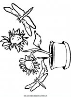 disegni_animali/libellula/libellula_libellule_5.JPG