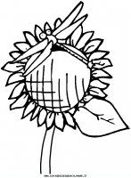 disegni_animali/libellula/libellula_libellule_7.JPG