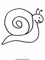 disegni_animali/lumaca/lumaca_1.JPG