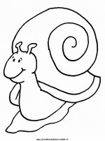 disegni_animali/lumaca/lumaca_3.JPG