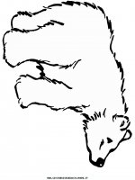 disegni_animali/orso/orsi_15.JPG
