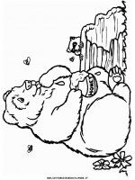 disegni_animali/orso/orsi_27.JPG