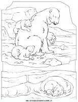 disegni_animali/orso/orso_b2.JPG