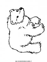 disegni_animali/orso/orso_b3.JPG
