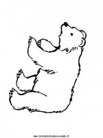 disegni_animali/orso/orso_b4.JPG