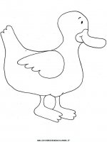 disegni_animali/papera/duck2.JPG